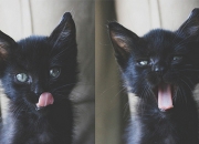 LOL赛事-冰封绝境与烈焰逆袭，38分之夜，保罗关键节点觉醒