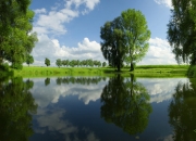 英雄联盟总决赛直播-鹈鹕武器出鞘！武切维奇用统治级表现撕碎爵士防线