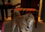 英雄联盟总决赛赛程-伊萨克的诞生，当姆巴佩的巨星光芒被一个无名小卒彻底熄灭