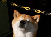 -那个打破一切的年轻人，加维如何用二十分钟改写永恒