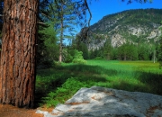 英雄联盟总决赛2025-奥纳纳点球大战显神威，巴萨淘汰塞内加尔晋级