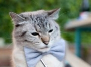 LOL决赛-生死八分钟，卡瓦哈尔关键节点连续得分引爆逆袭，尼日利亚绝处逢生险胜几内亚