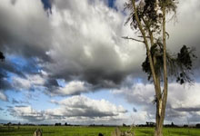 -沉默的力量，戈贝尔用防守之锁封印黄蜂，鹈鹕取胜无悬念