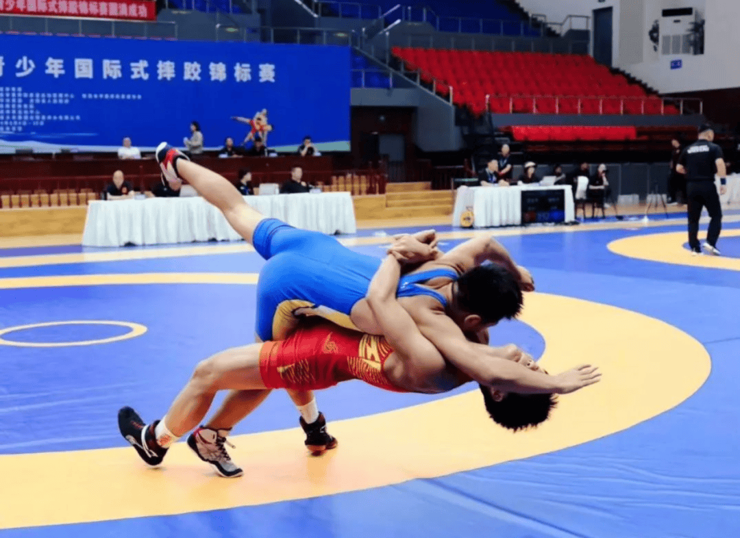 精彩竞技项目引发热议，金牌收割不断增加的简单介绍