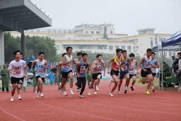 田径比赛现场的紧张气氛,置身其中令人激动的简单介绍 田径比赛现场的紧张气氛,置身其中令人激动的简单介绍