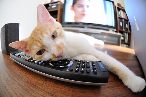 统治攻防！小贾伦以一己之力扭转比赛，成为火箭逆转上海队的绝对核心