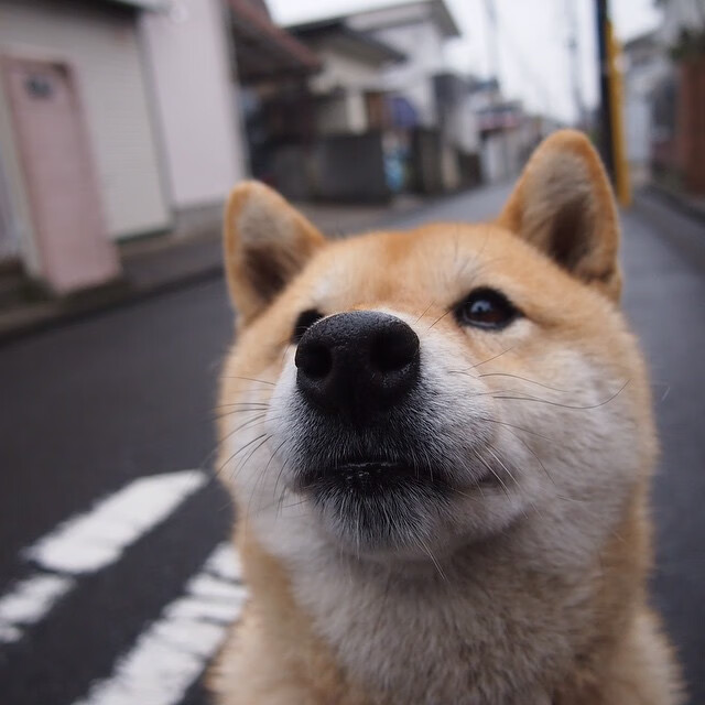 利拉德狂轰62+10+8！数据全面爆发闪耀全场