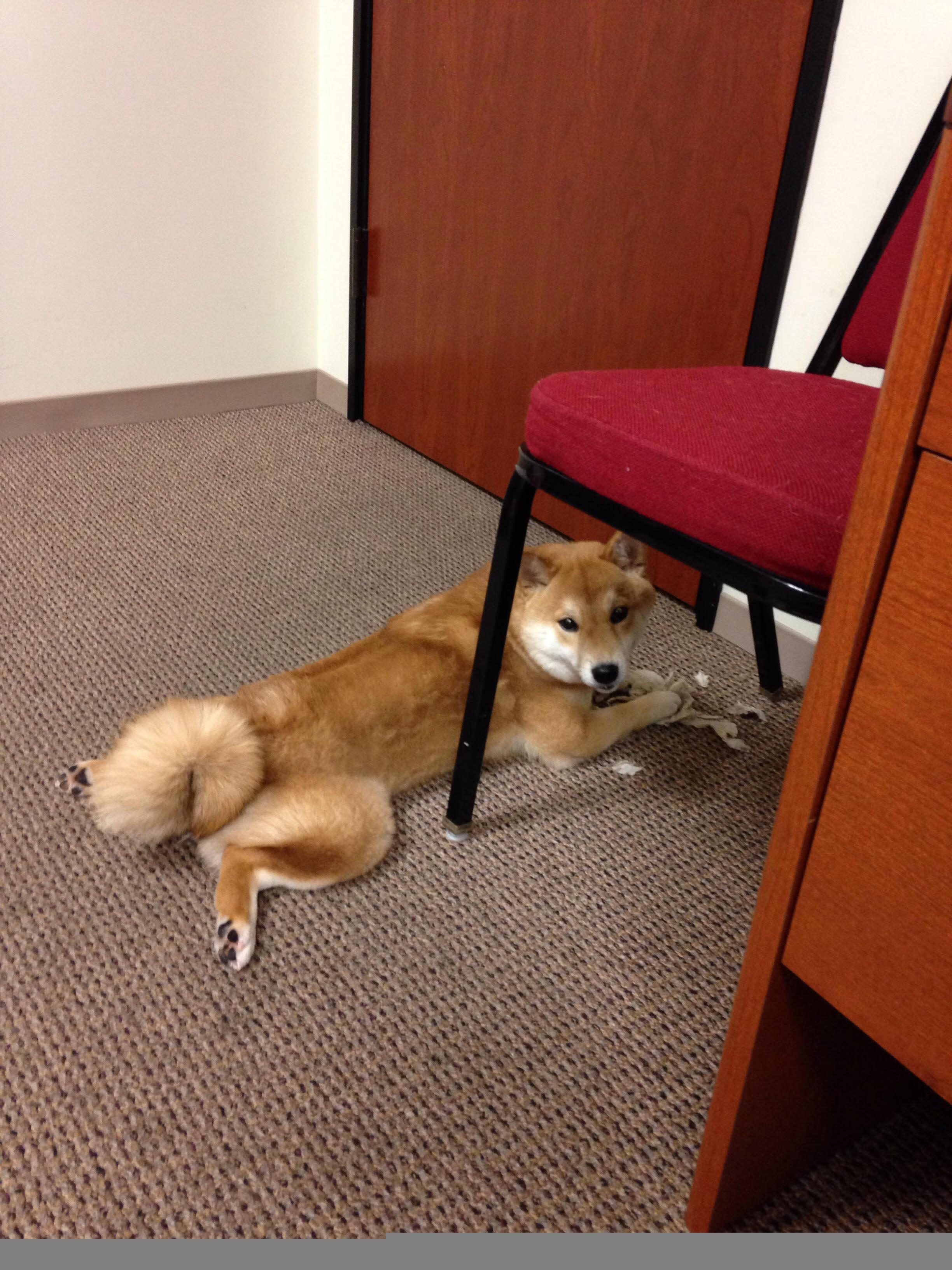 石与铁的对歌，当克罗地亚的韧性遇见毕尔巴鄂的传统，坎特在夹缝中起舞