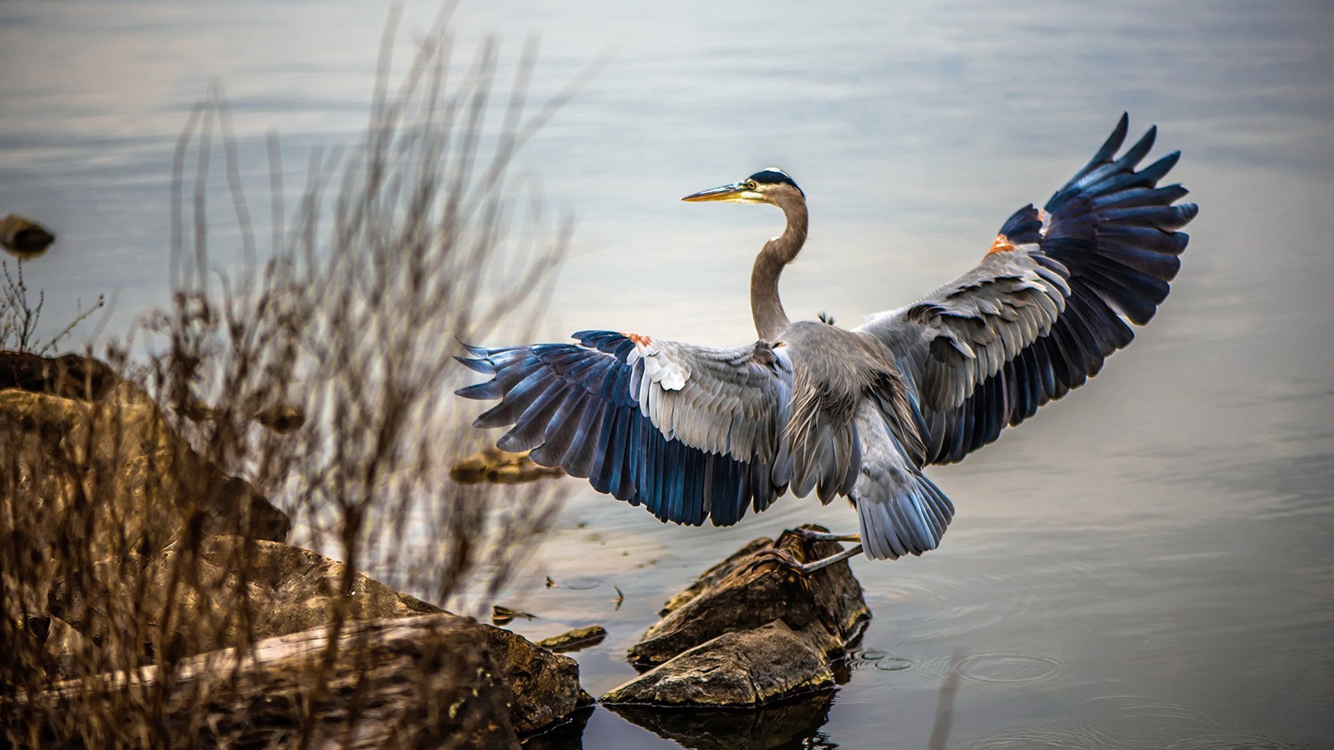 从连败到逆袭，利拉德如何用最后一秒改写活塞与太阳的命运