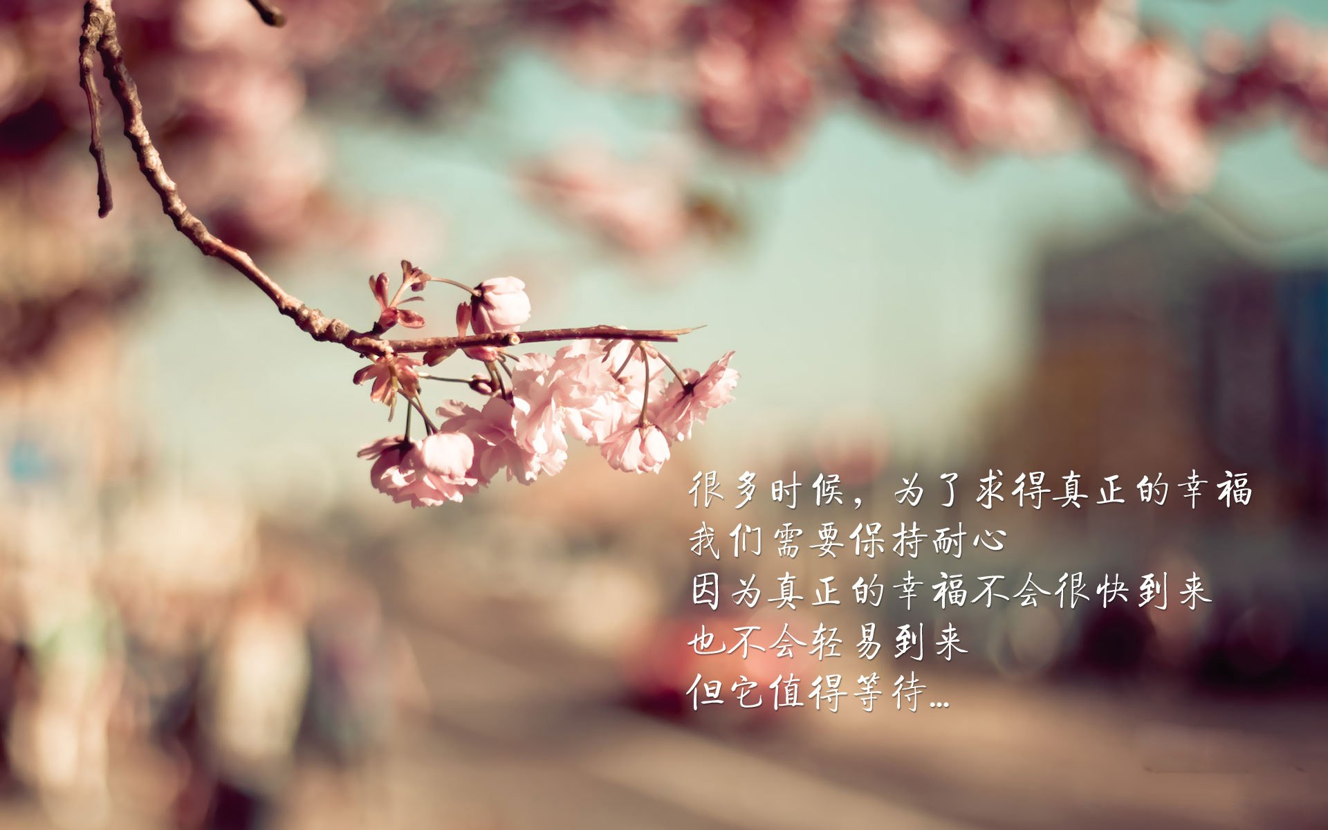 跨越大陆的绿茵裁决，厄瓜多尔逆袭伊朗的年度焦点生死战