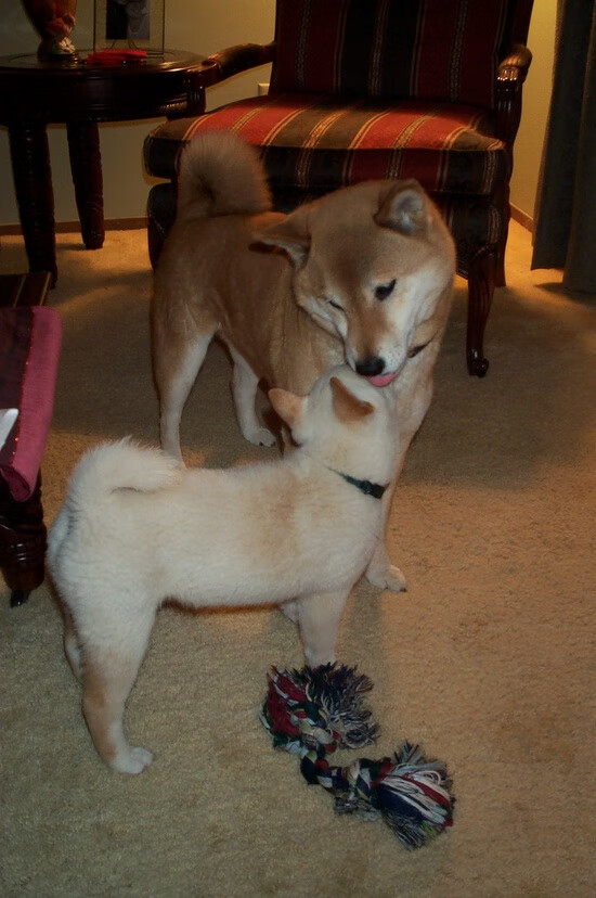 伊萨克的诞生，当姆巴佩的巨星光芒被一个无名小卒彻底熄灭