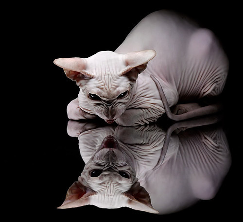 南美神话破晓时，2026世界杯焦点战，秘鲁逆转乌拉圭