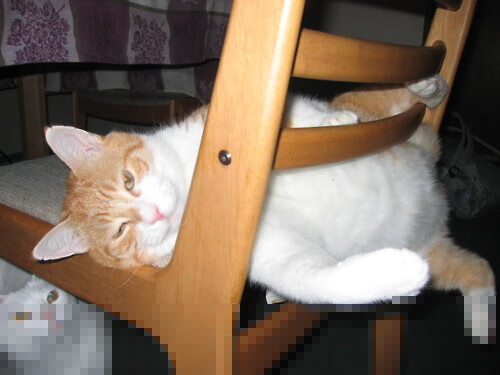 双线叙事，当公牛轻取化作赛道超车，贝恩用F1方式接管比赛