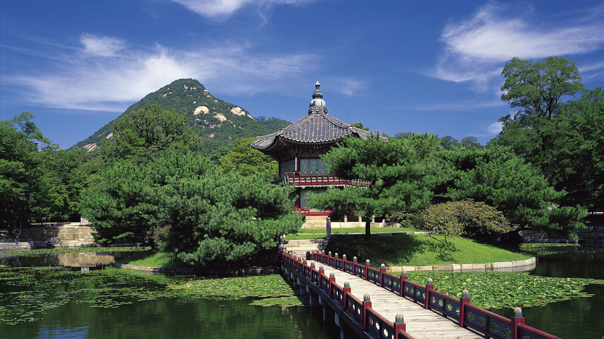 哈利伯顿梦回巅峰秀魔术，凯尔特人跨域完胜吉林队，一场定义唯一的篮球盛筵