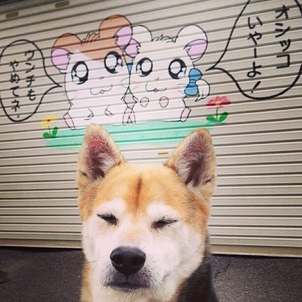 绿野风暴征服钢铁之都,新疆队的拉梅洛时刻如何淬炼而生?