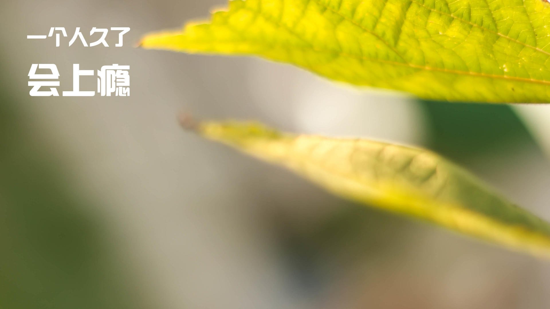 威尔士红龙正面碾碎里昂,门神拉亚成现代足球新答案