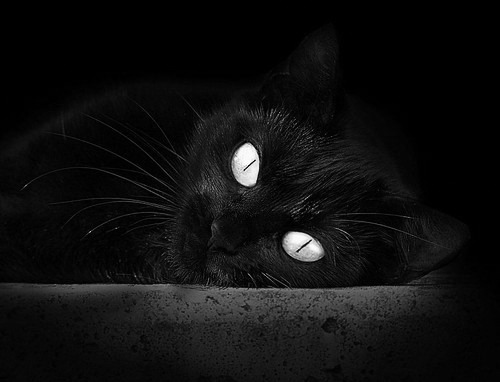 跨界死神,当莫德里奇在西决生死战的比喻中,持续制造终极杀伤