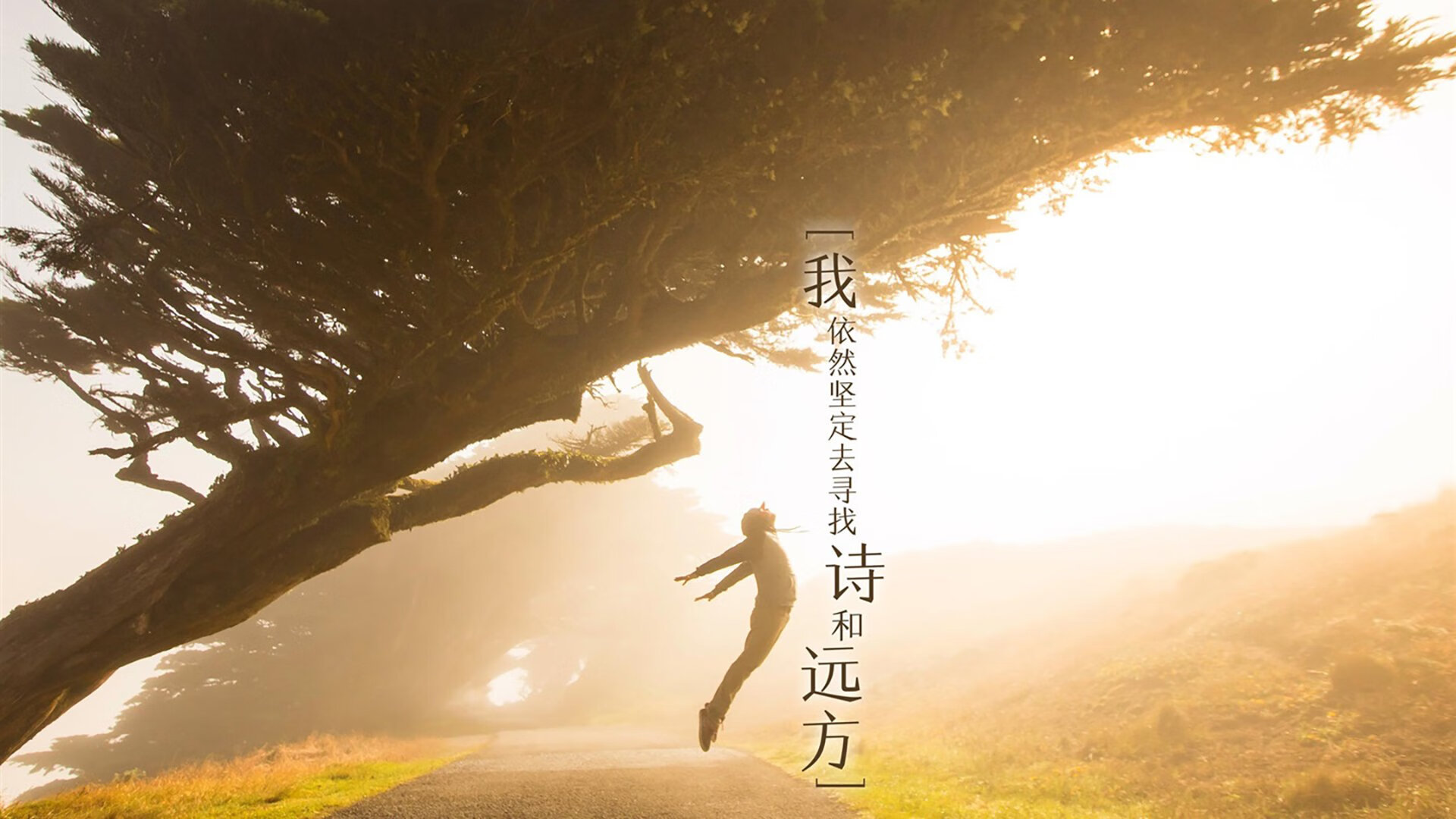 冰与火之歌,当保罗关键先生点燃战场,广东宏远用东方熔炉焚烧奇才迷茫