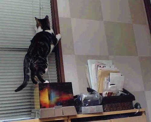 时空裂痕下的奇迹,当足球之神在篮球场降临