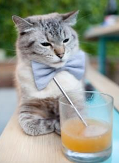 生死八分钟，卡瓦哈尔关键节点连续得分引爆逆袭，尼日利亚绝处逢生险胜几内亚